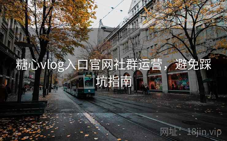 糖心vlog入口官网社群运营，避免踩坑指南