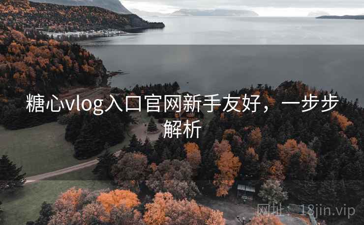 糖心vlog入口官网新手友好，一步步解析