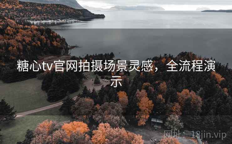 糖心tv官网拍摄场景灵感，全流程演示